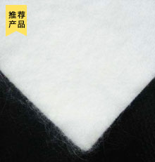 聚酯長絲土工布